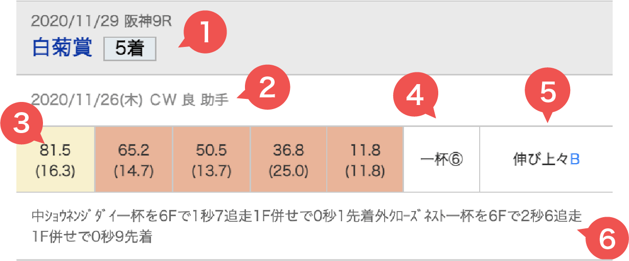 調教タイムイメージ