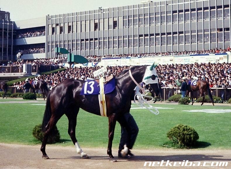Japanese Triple Tiara: List of Japanese Triple Tiara Winners