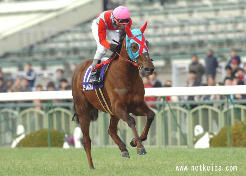 LIBERTY  TRIPLE TIARA ジャケット Japanese Triple Tiara: List of Japanese Triple Tiara Winners