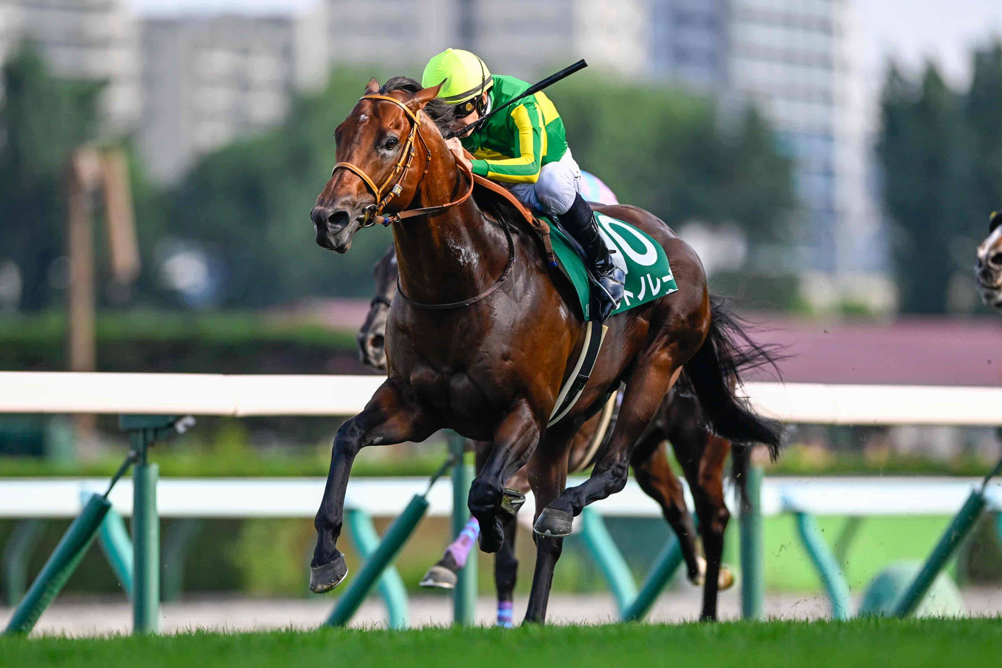 Satono Reve