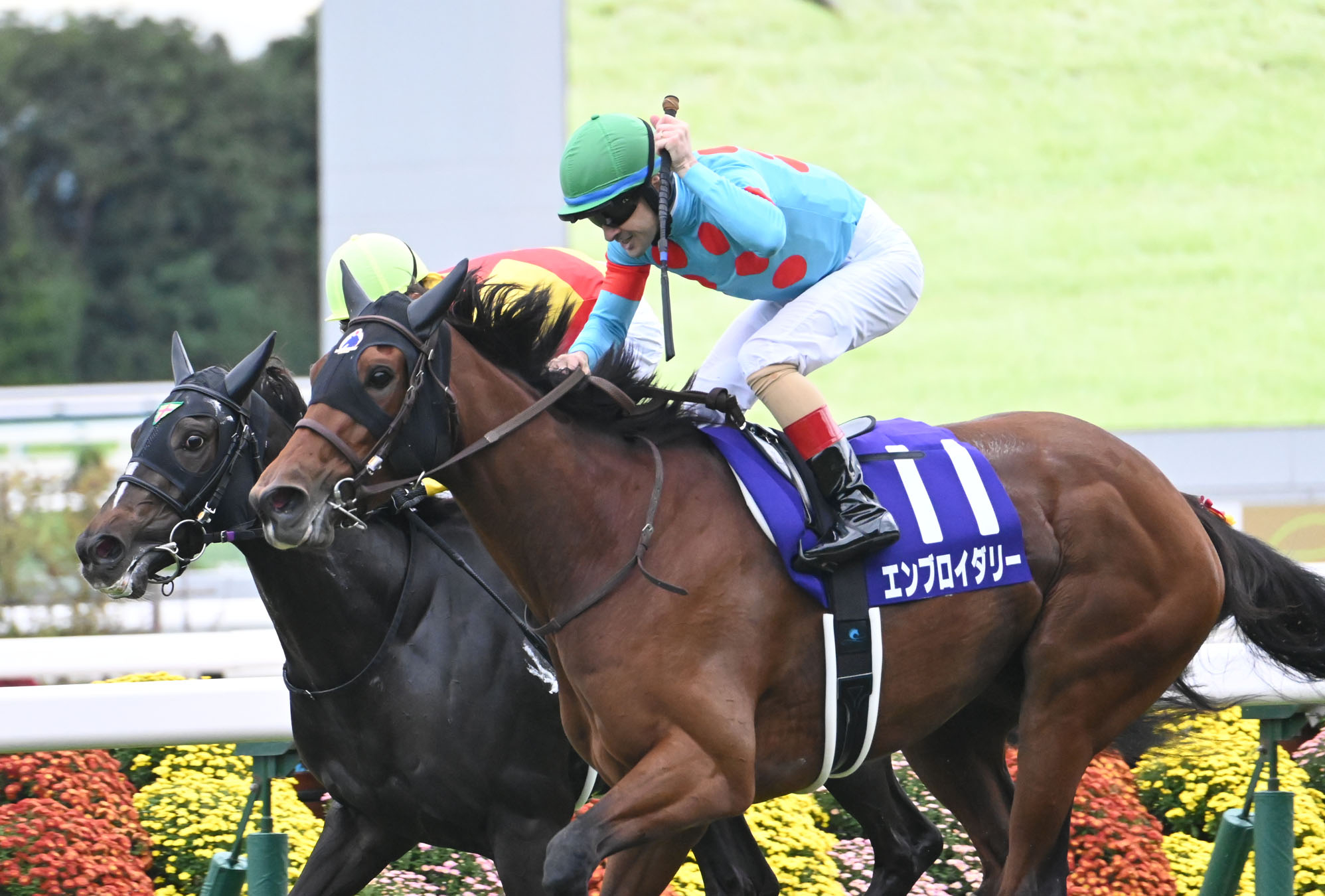 Embroidery wins the Shuka Sho 2025. (Photo: netkeiba)
