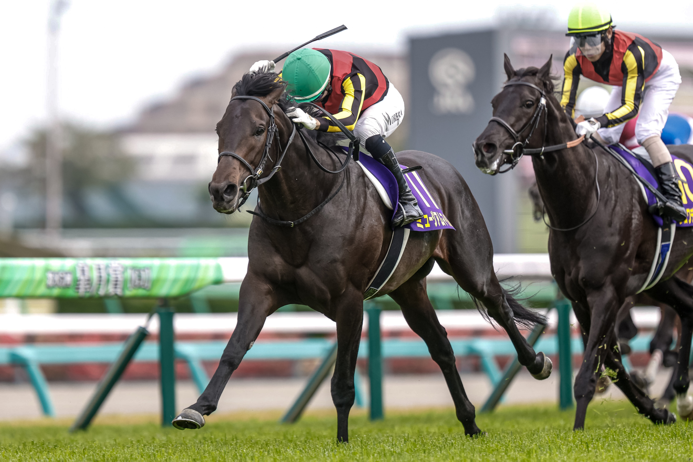 TENNO SHO (Autumn) 2025: Latest News, Entries, Notable Runners, Race ...