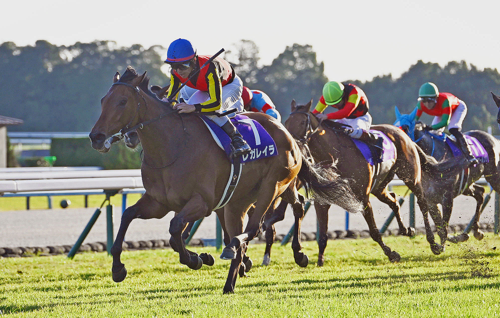 QUEEN ELIZABETH 2 CUP Past Winners: List of Previous Queen Elizabeth 2 Cup (G1) Winners