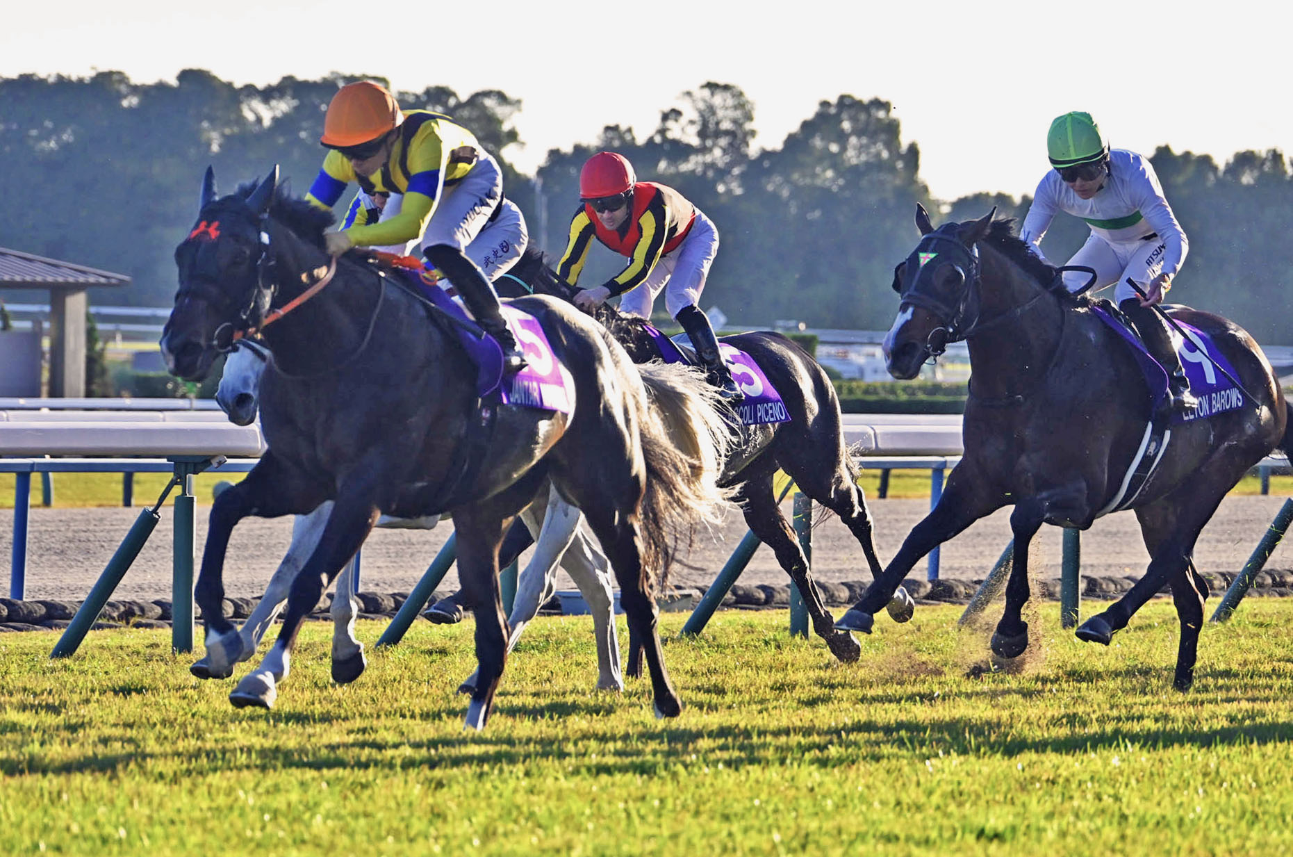 Jantar Mantar wins the Mile Championship 2025. (Photo: netkeiba)
