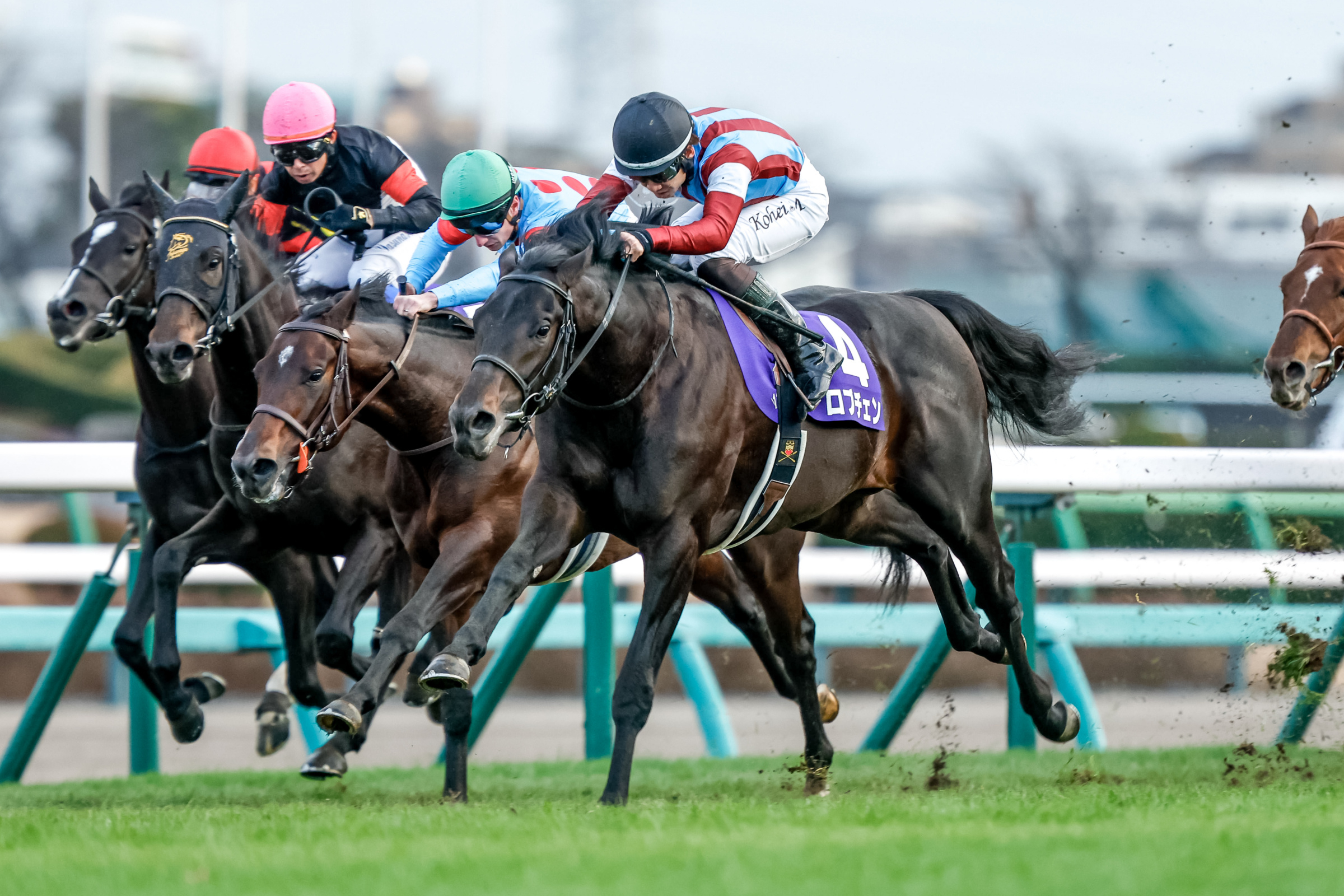 HOPEFUL STAKES Past Winners: List of Previous Hopeful Stakes (G1) Winners