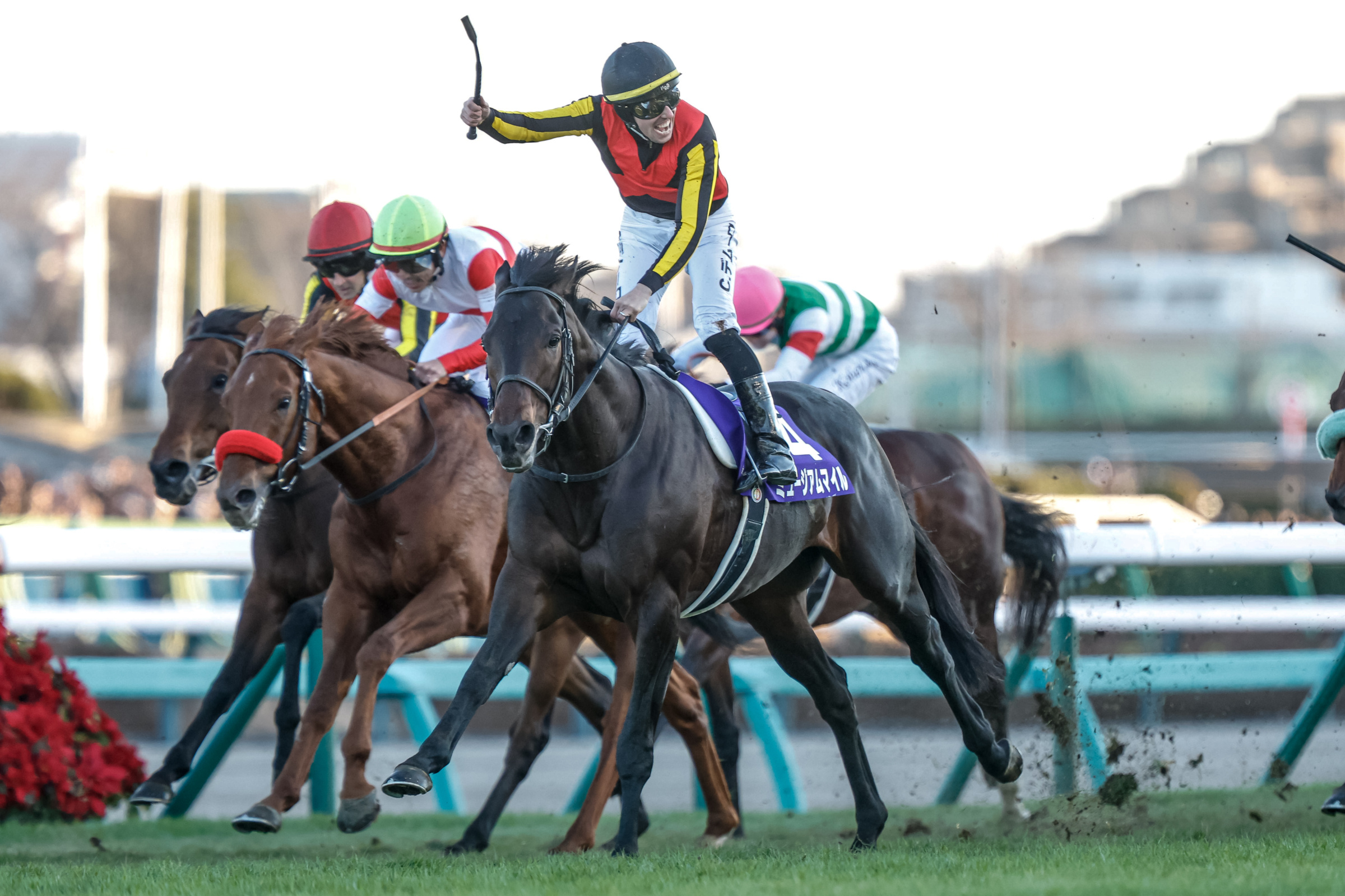 ARIMA KINEN (THE GRAND PRIX) Past Winners: List of Previous Arima Kinen (The Grand Prix) (G1) Winners