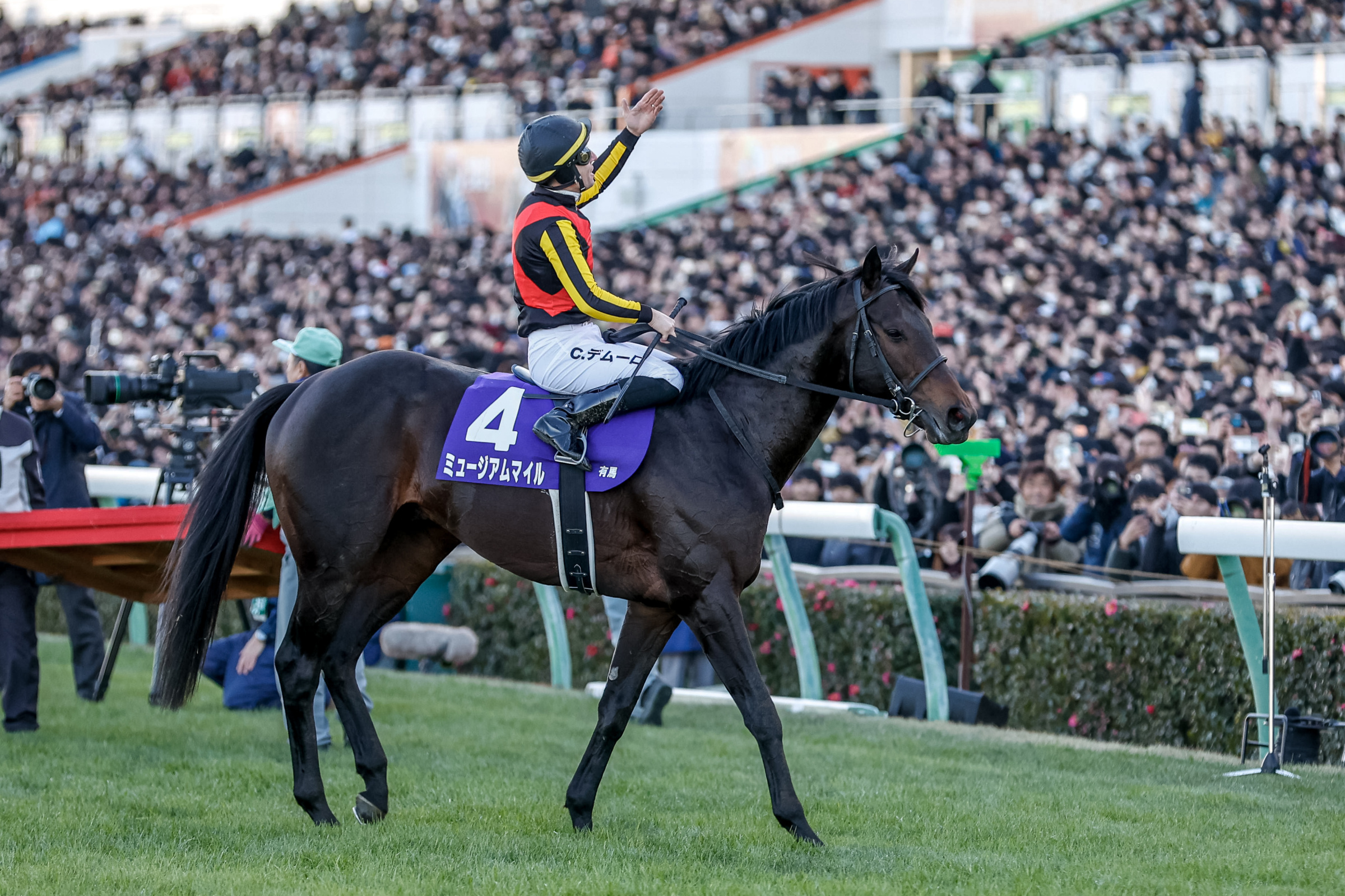 2025 Japanese G1 Races Schedule & Results | Horse Racing Library