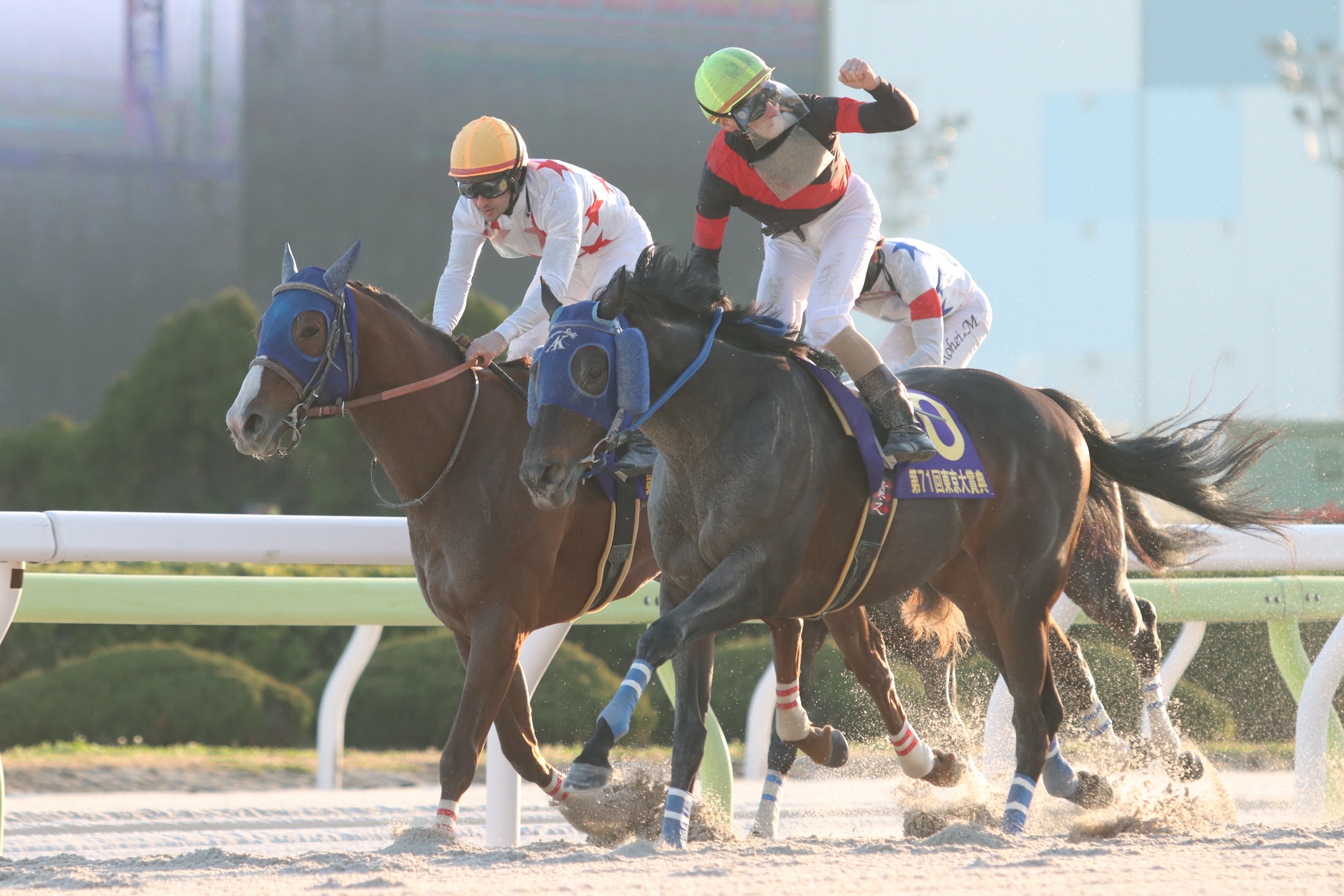 2025 List of Dirt Graded Stakes and Races in JRA and NAR