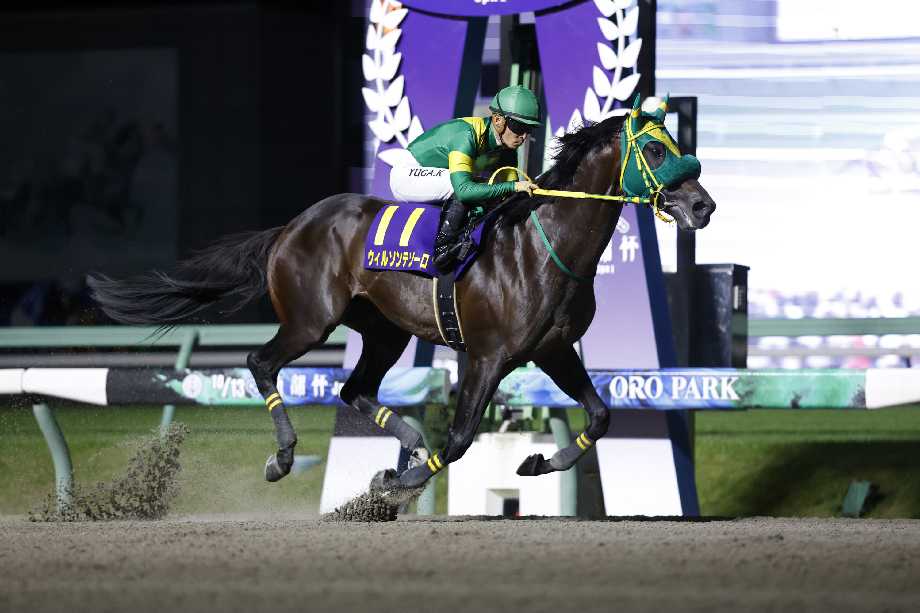 FEBRUARY STAKES 2026: Latest News, Entries, Race Overview