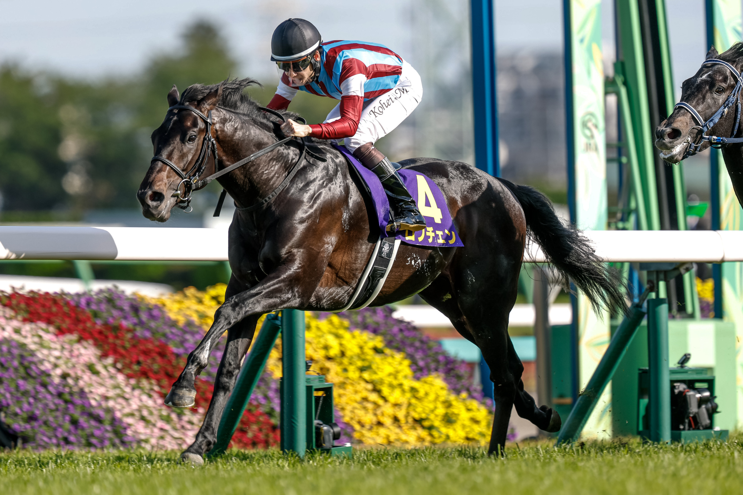 SATSUKI SHO Past Winners: List of Previous Satsuki Sho (Japanese 2000 Guineas) (G1) Winners