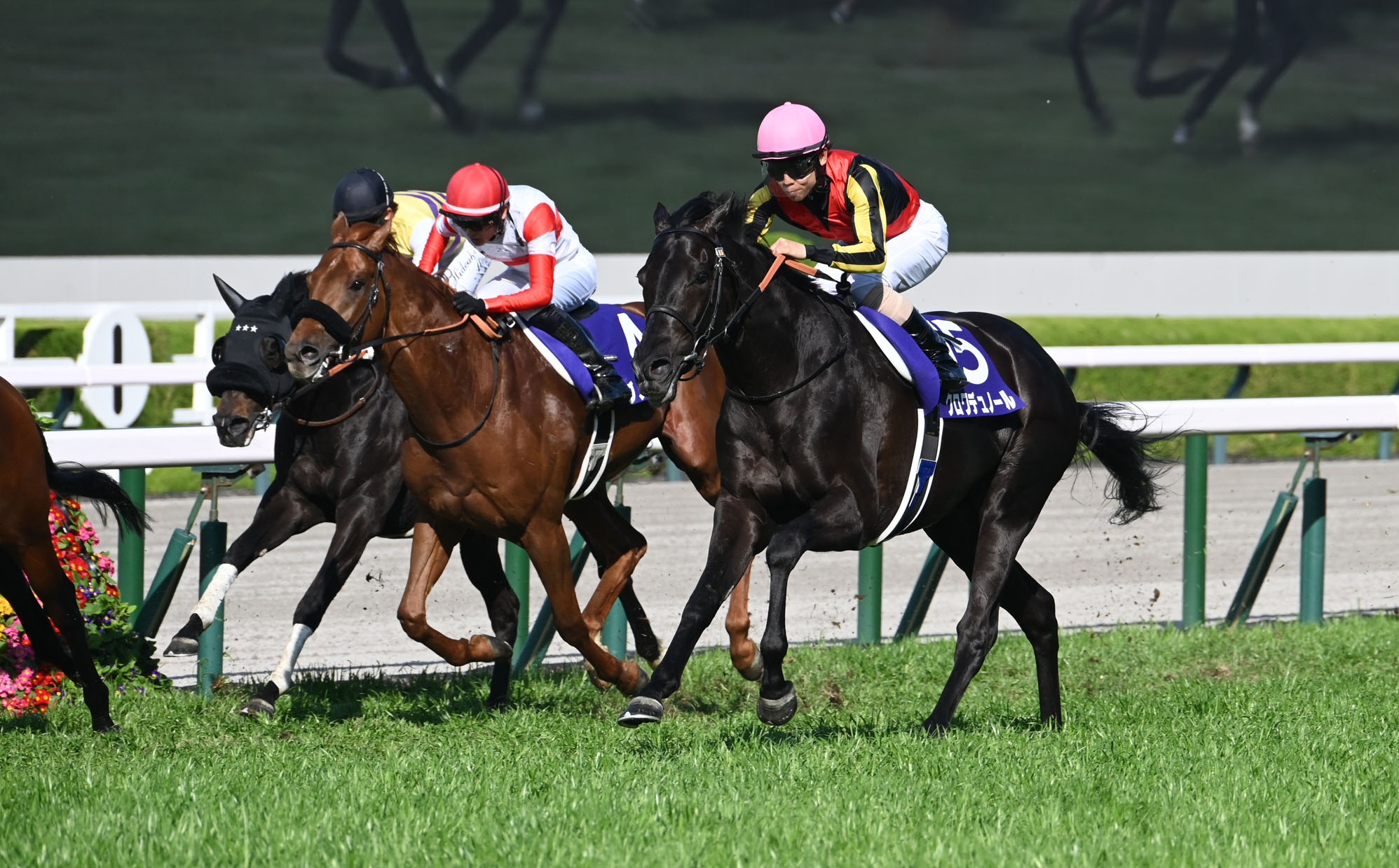 TENNO SHO (SPRING) 2026: Latest News, Entries, Race Overview ...