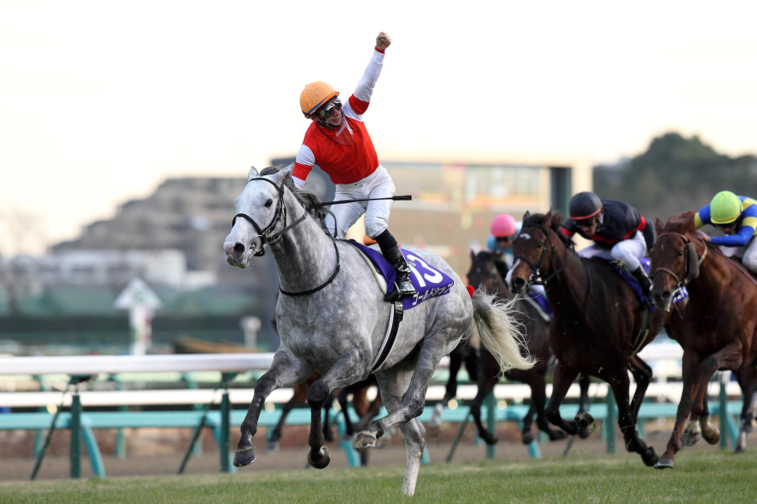 Gold Ship at the 2012 Arima Kinen