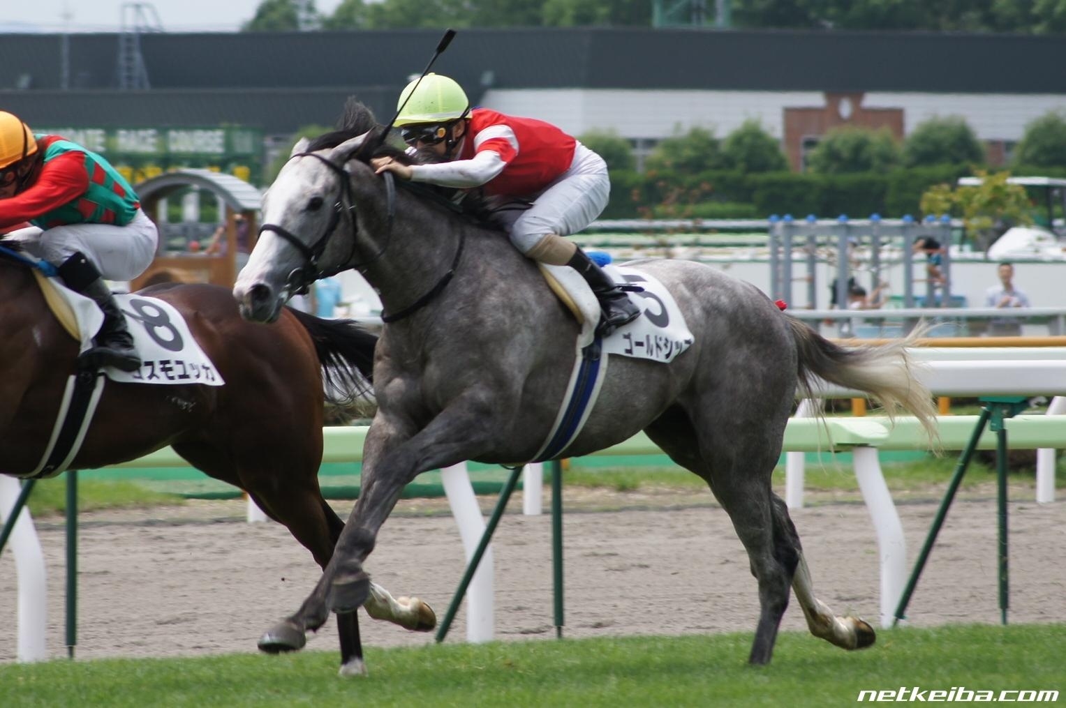 Gold Ship in His 2011 Debut Race
