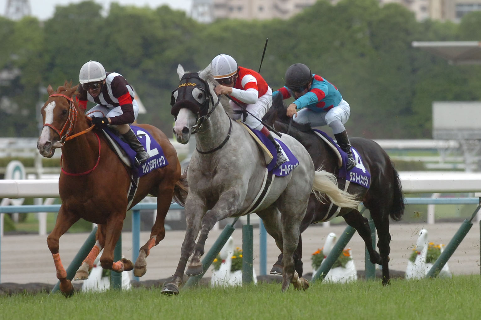 Gold Ship at the 2015 Tenno Sho (Spring)