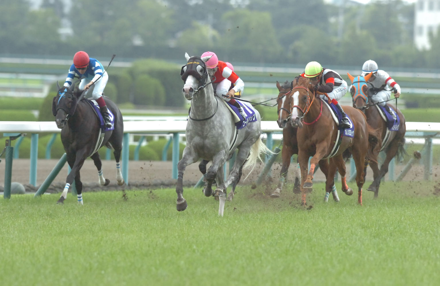 Gold Ship at the 2014 Takarazuka Kinen