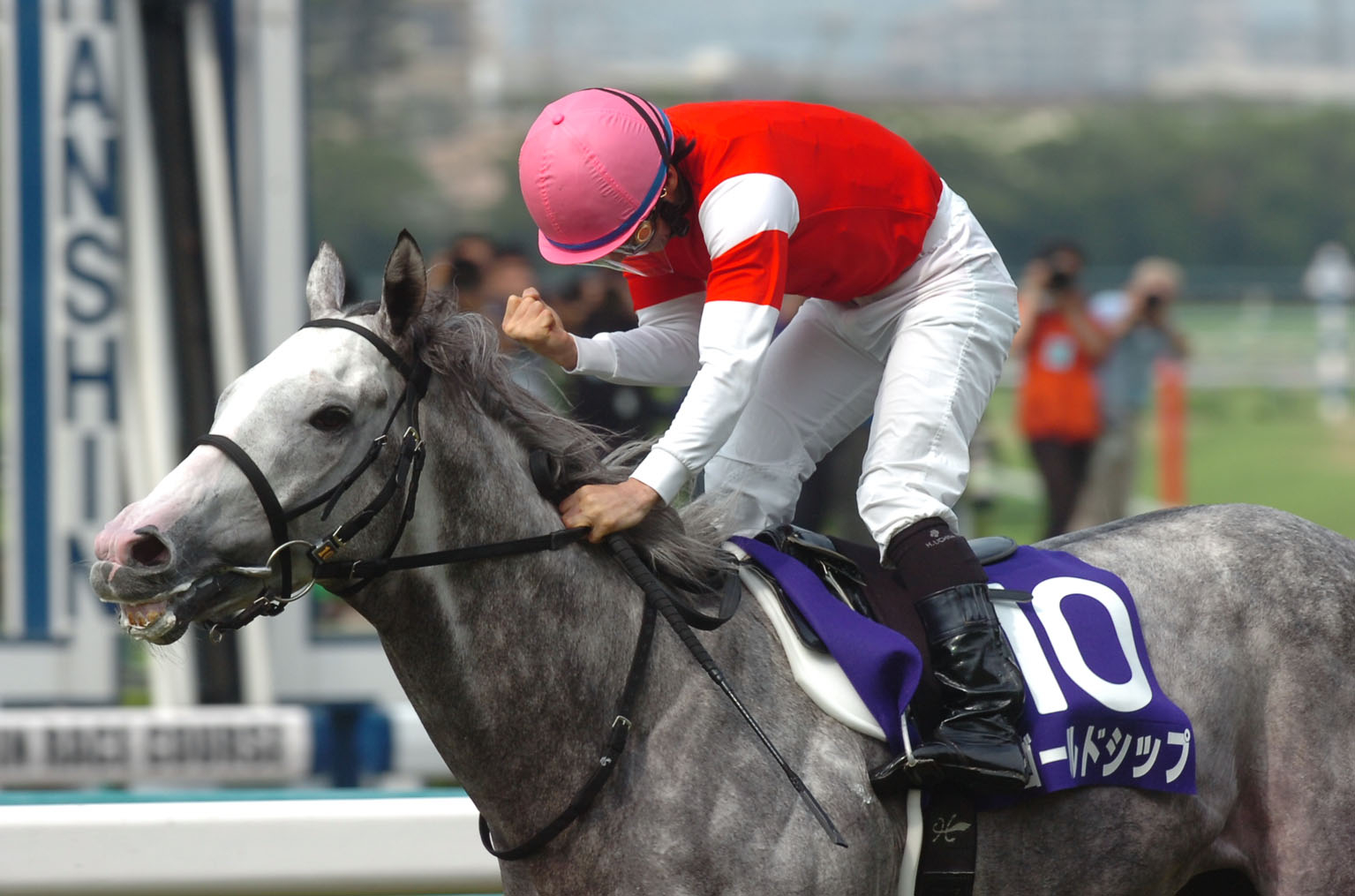 Gold Ship at the 2013 Takarazuka Kinen