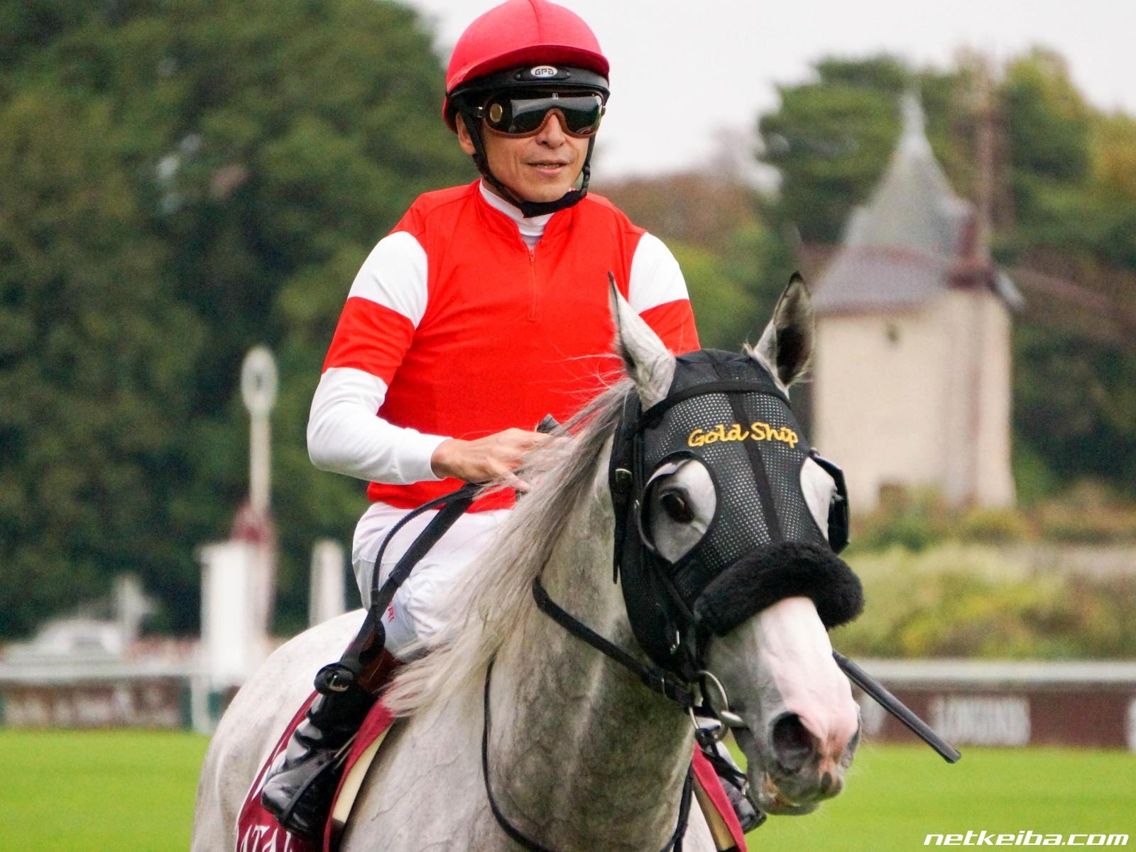 Gold Ship at the 2014 Prix de l'Arc de Triomphe