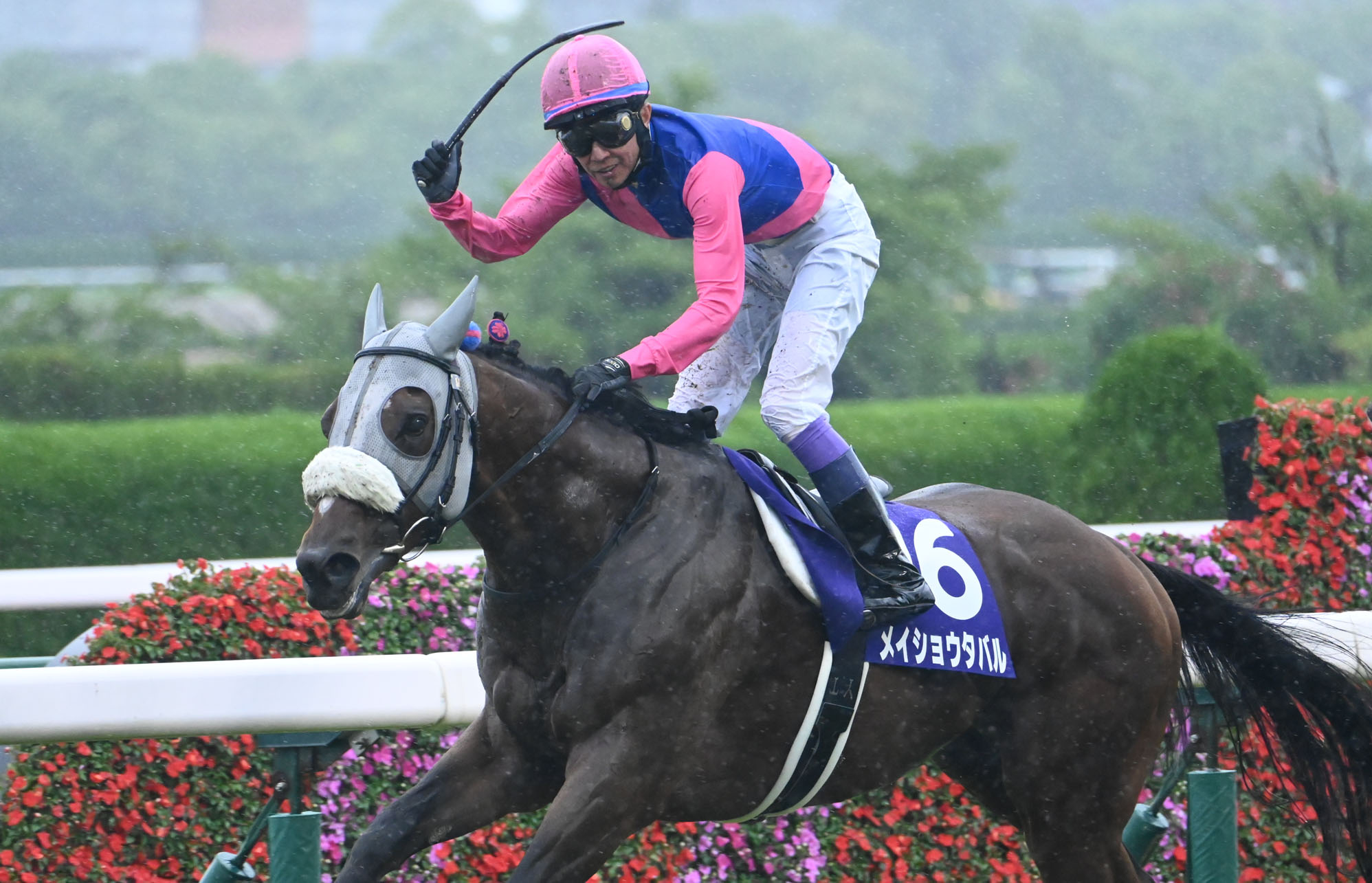 2026 Japanese G1 Races Schedule & Results