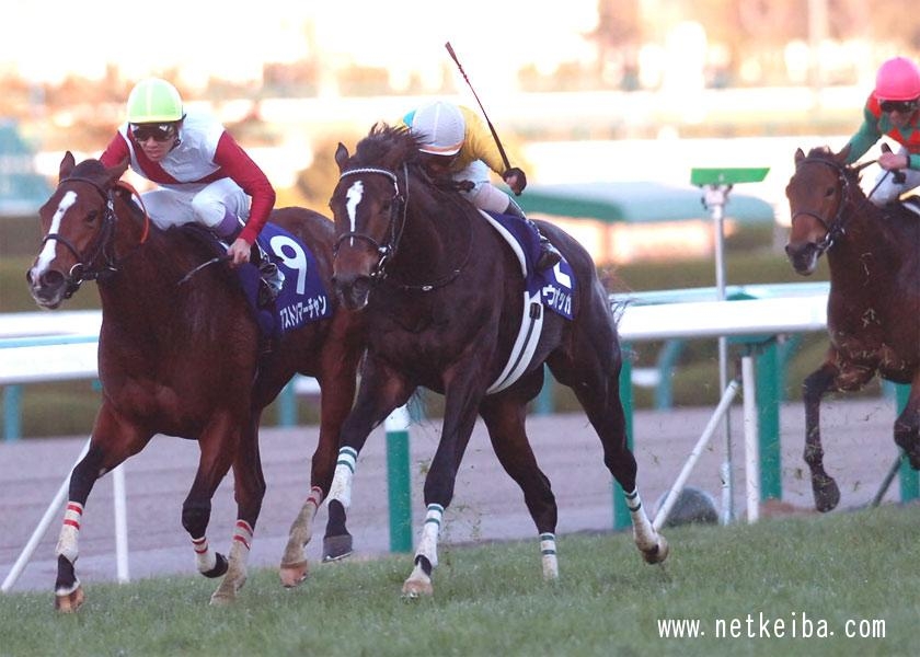 Vodka at the 2006 Hanshin Juvenile Fillies