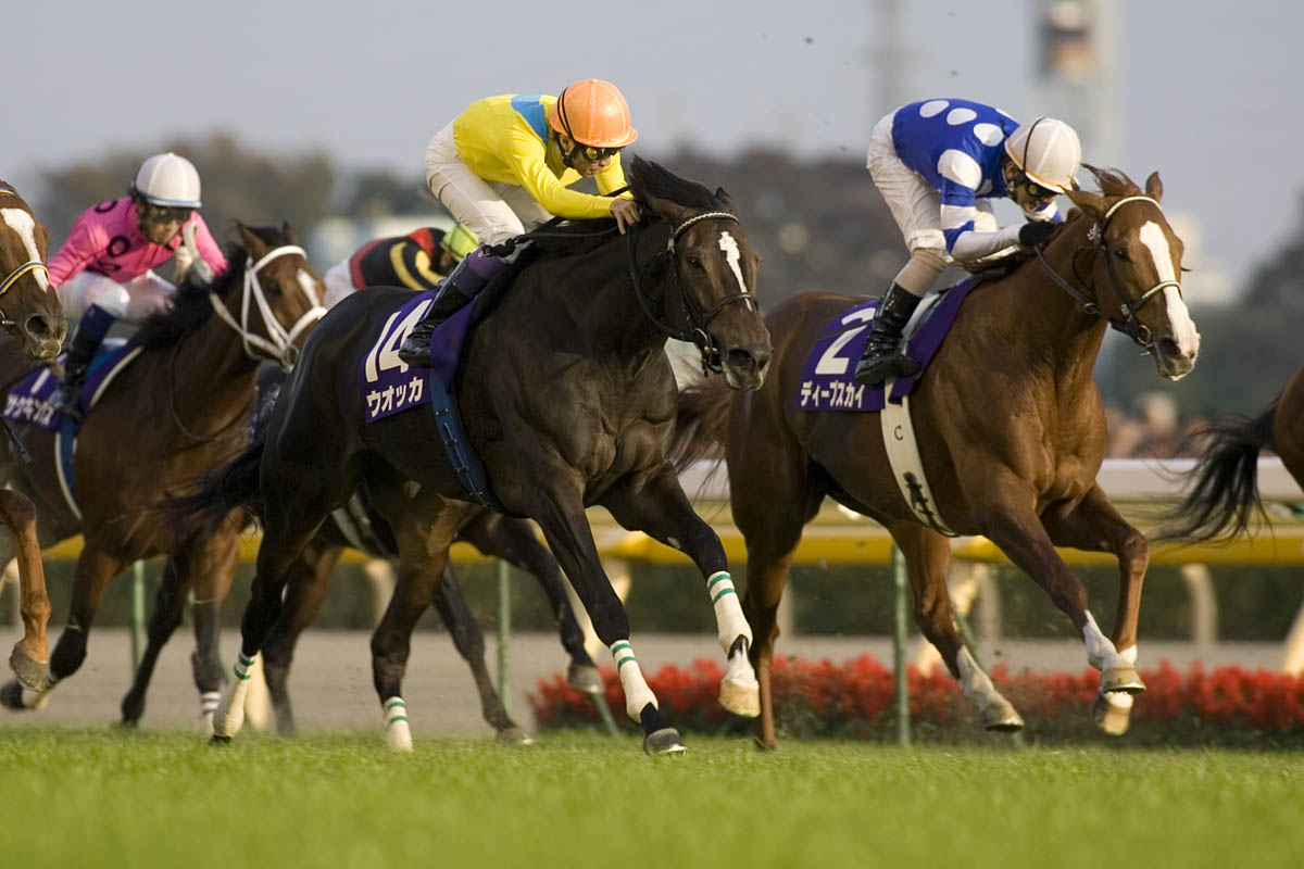 Vodka at the 2008 Tenno Sho (Autumn)