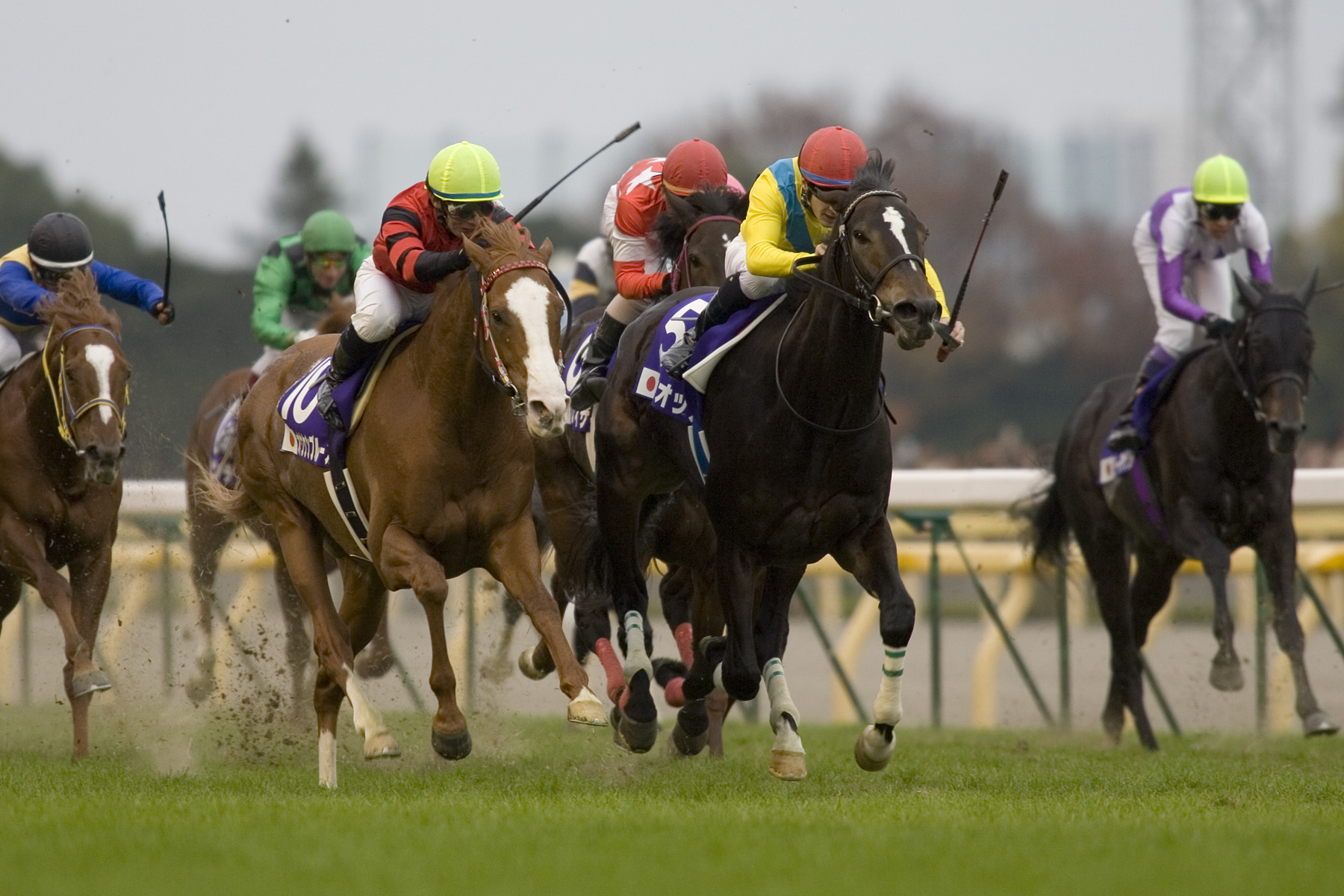 Vodka at the 2009 Japan Cup
