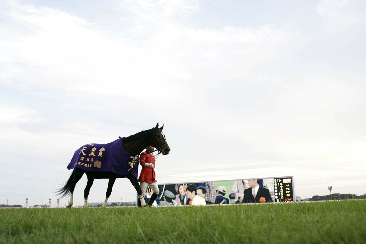 Vodka at the 2008 Tenno Sho (Autumn)