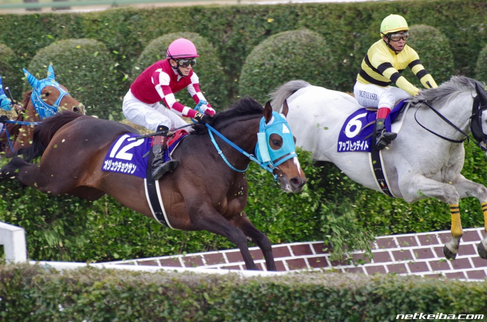 JRA Hall of Fame: List of JRA Hall of Fame inductees