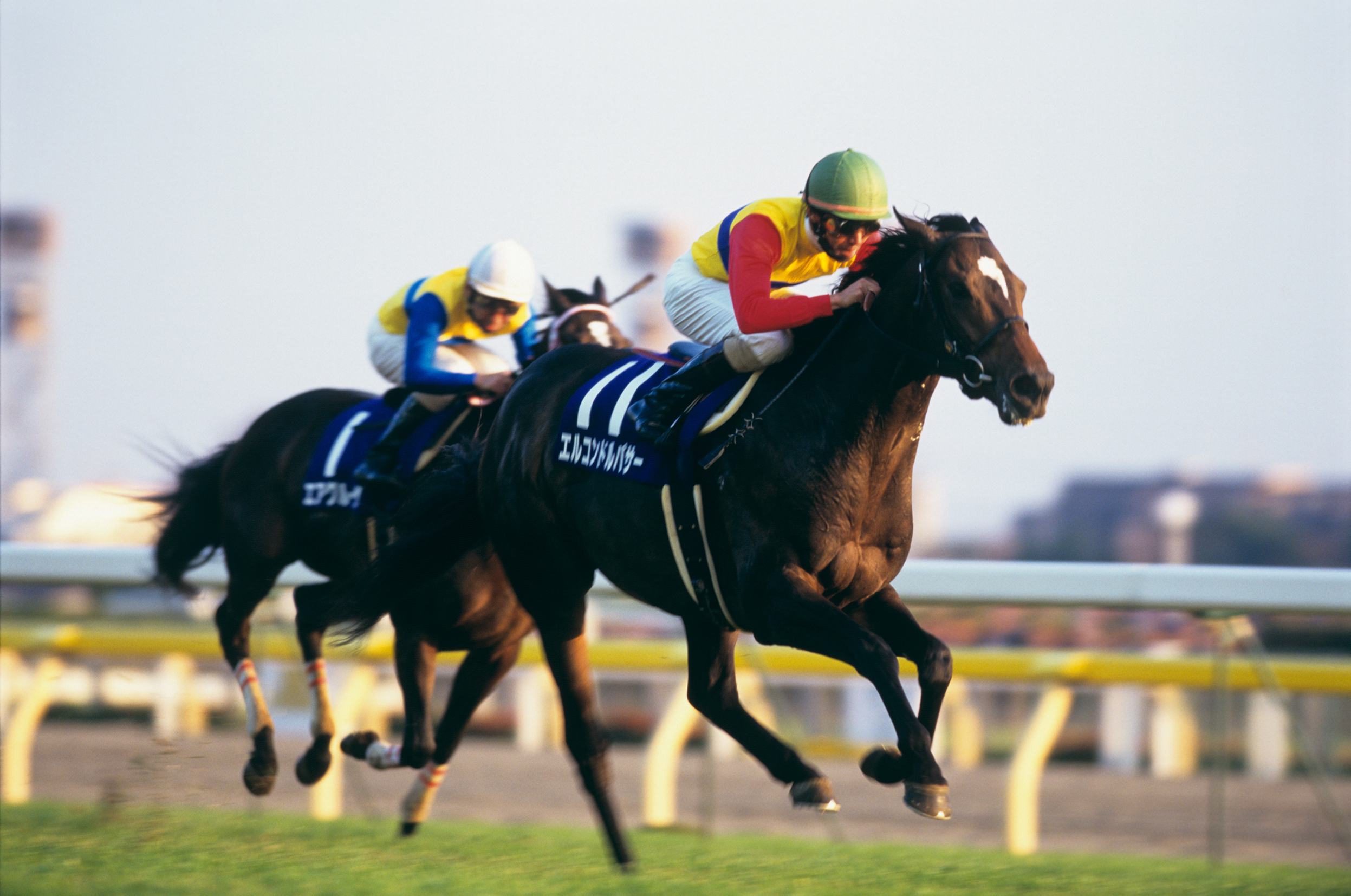 El Condor Pasa at the 1998 Japan Cup