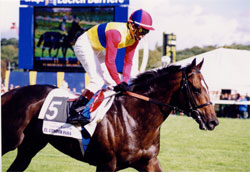 El Condor Pasa at the 1999 Prix de l’Arc de Triomphe