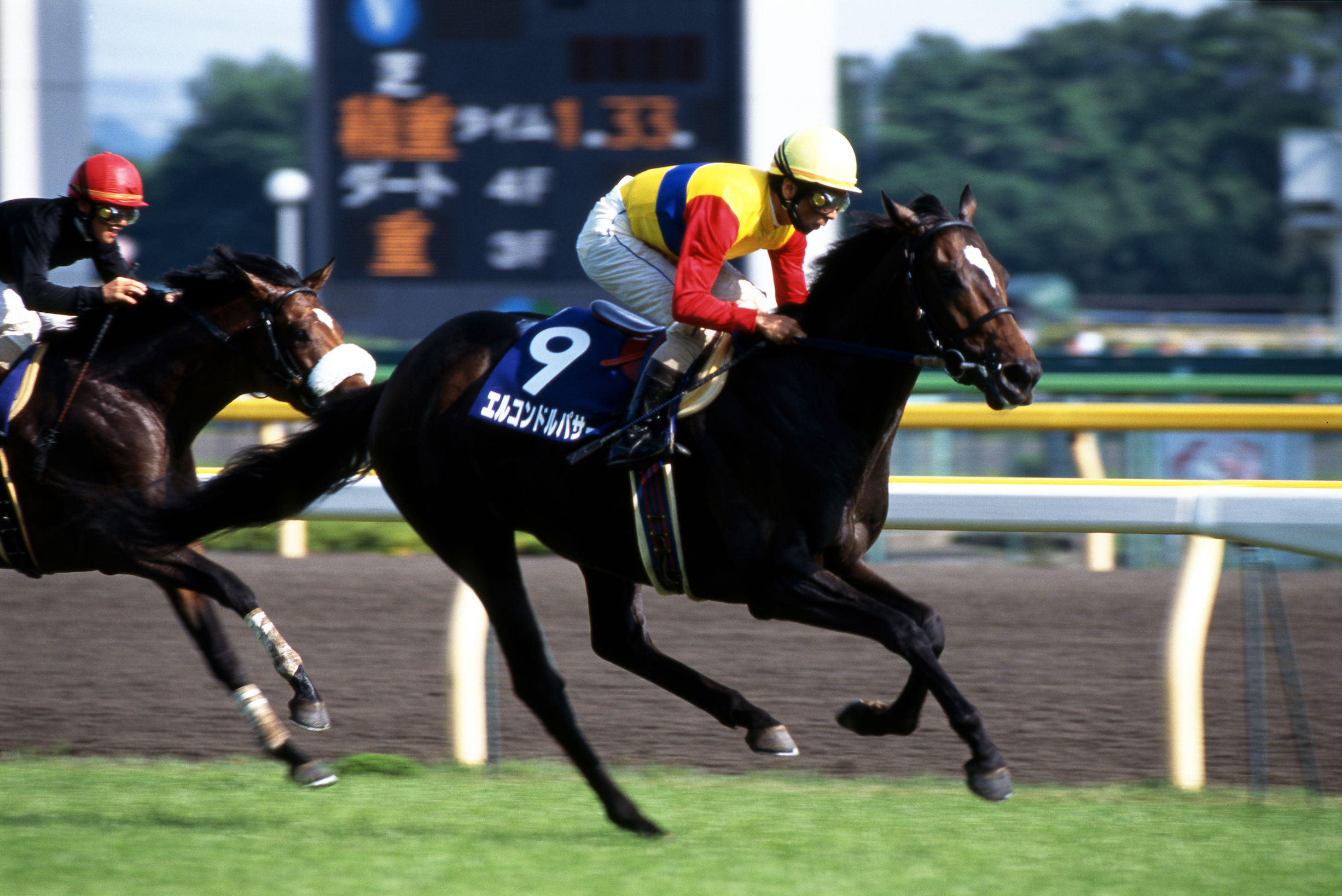 El Condor Pasa at the 1998 NHK Mile Cup