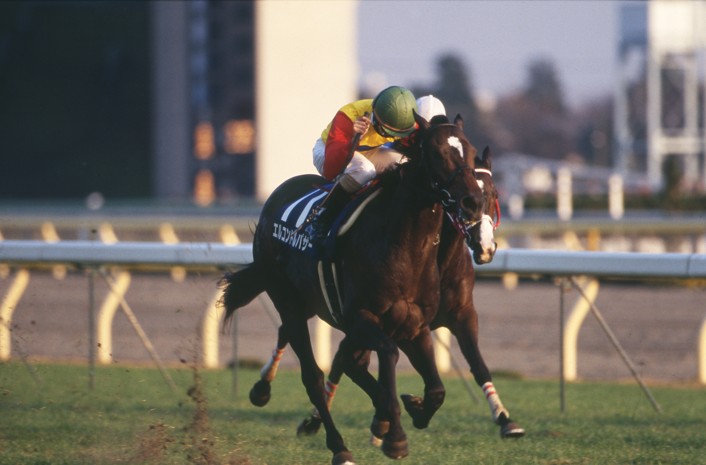 El Condor Pasa at the 1998 Japan Cup
