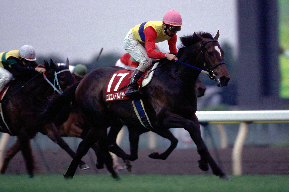 El Condor Pasa at the 1998 New Zealand Trophy Yonsai Stakes