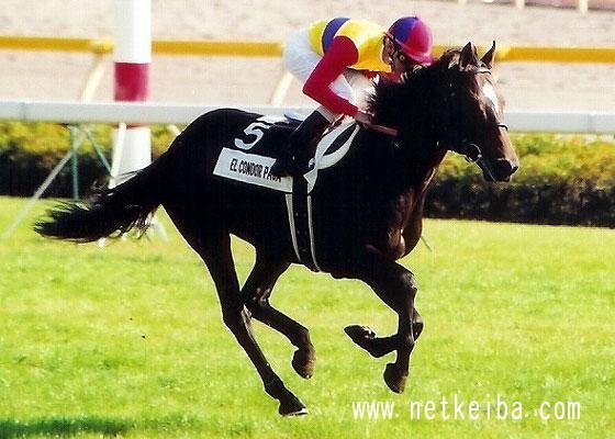 El Condor Pasa at his retirement ceremony