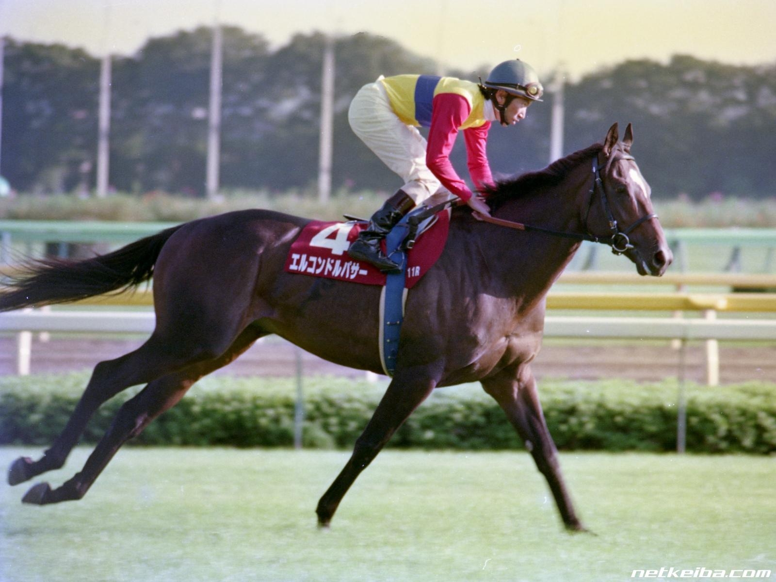 El Condor Pasa at the 1998 Mainichi Okan