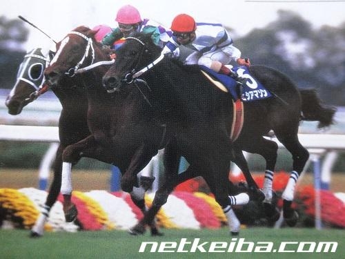 Hishi Amazon: The Fierce Queen Who Challenged Japan’s Best Colts