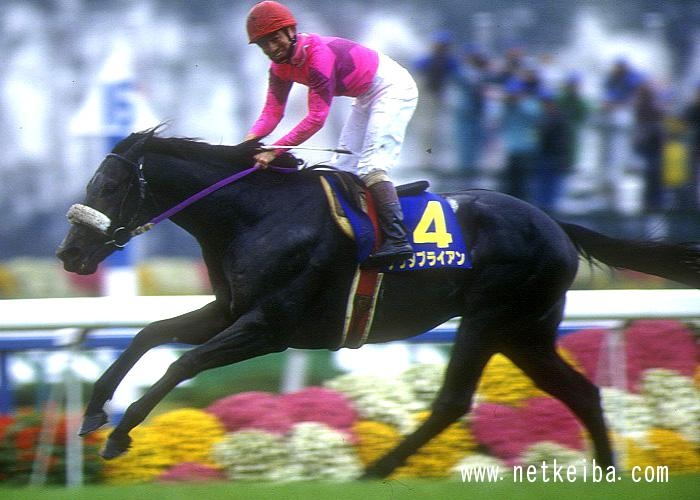 Narita Brian: The Shadow-Roll Monster Who Conquered the Triple Crown