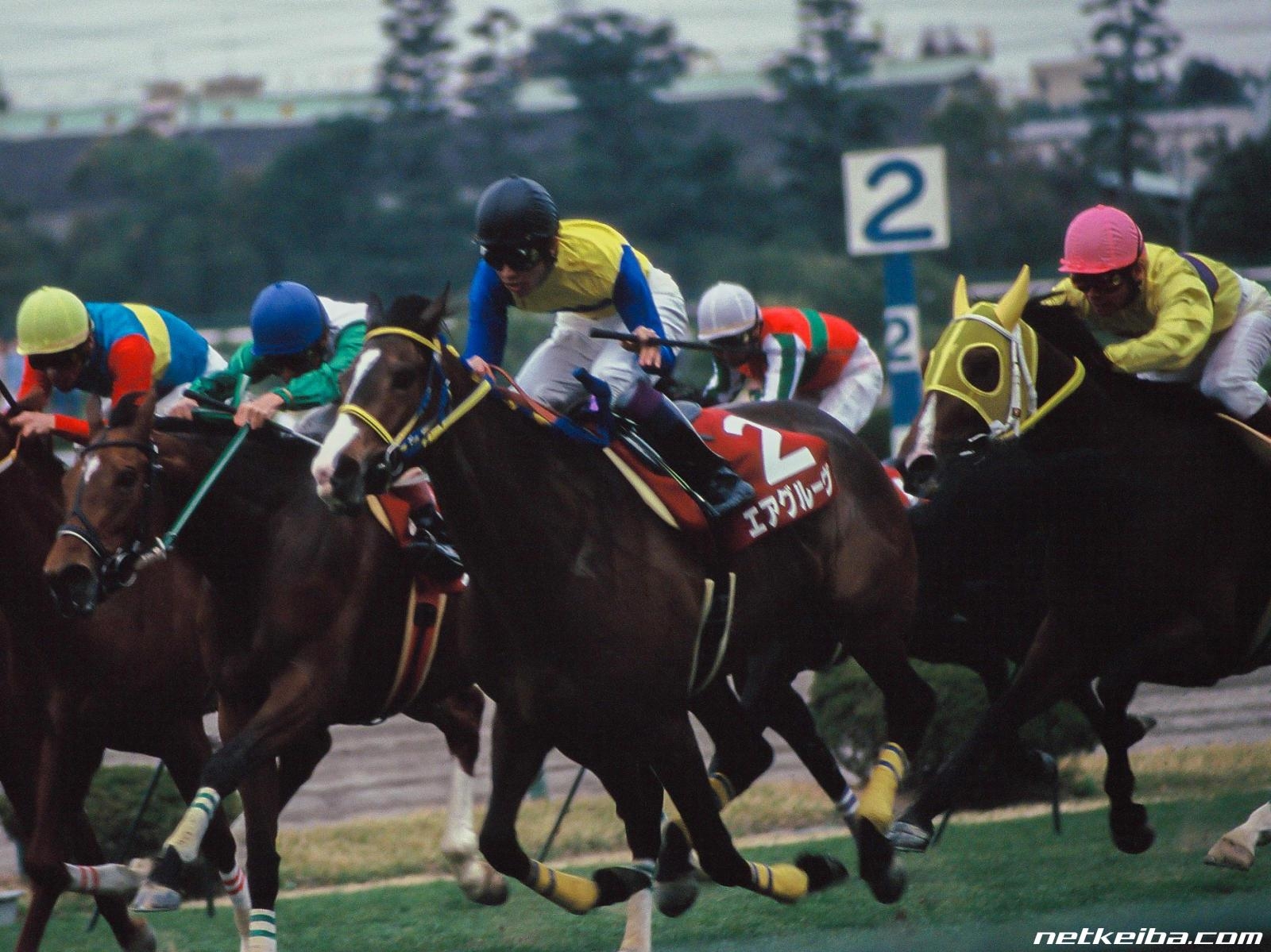 Air Groove: The Empress Who Changed the Image of Japanese Mares