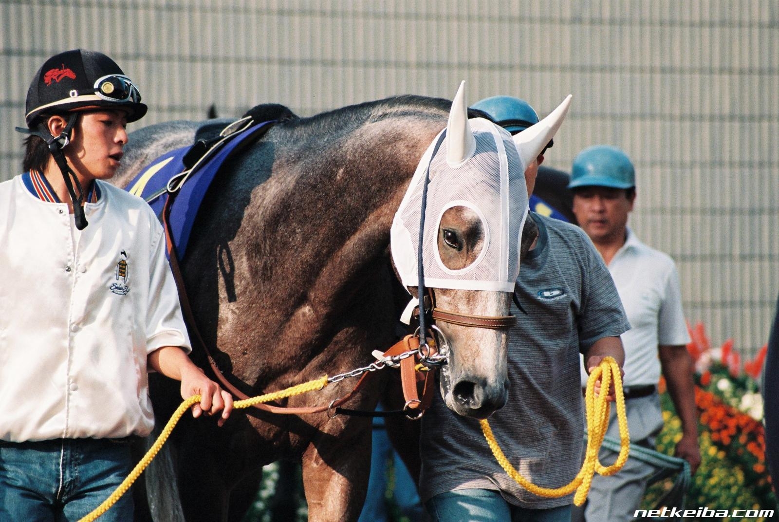 Seiun Sky: The Grey Front-Runner Who Stole the Classics from the Front