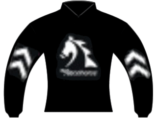 Abbondanza Racing LLC Medallion Racing and MyRacehorse